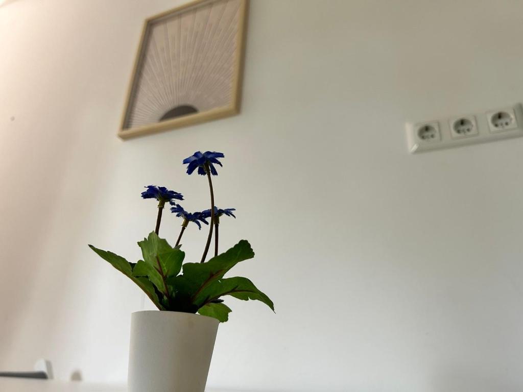 Prime Suites Near Schoenbrunn Castle 维也纳 外观 照片